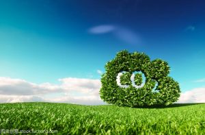 聚焦两会｜关于碳中和，有哪些热门提案？